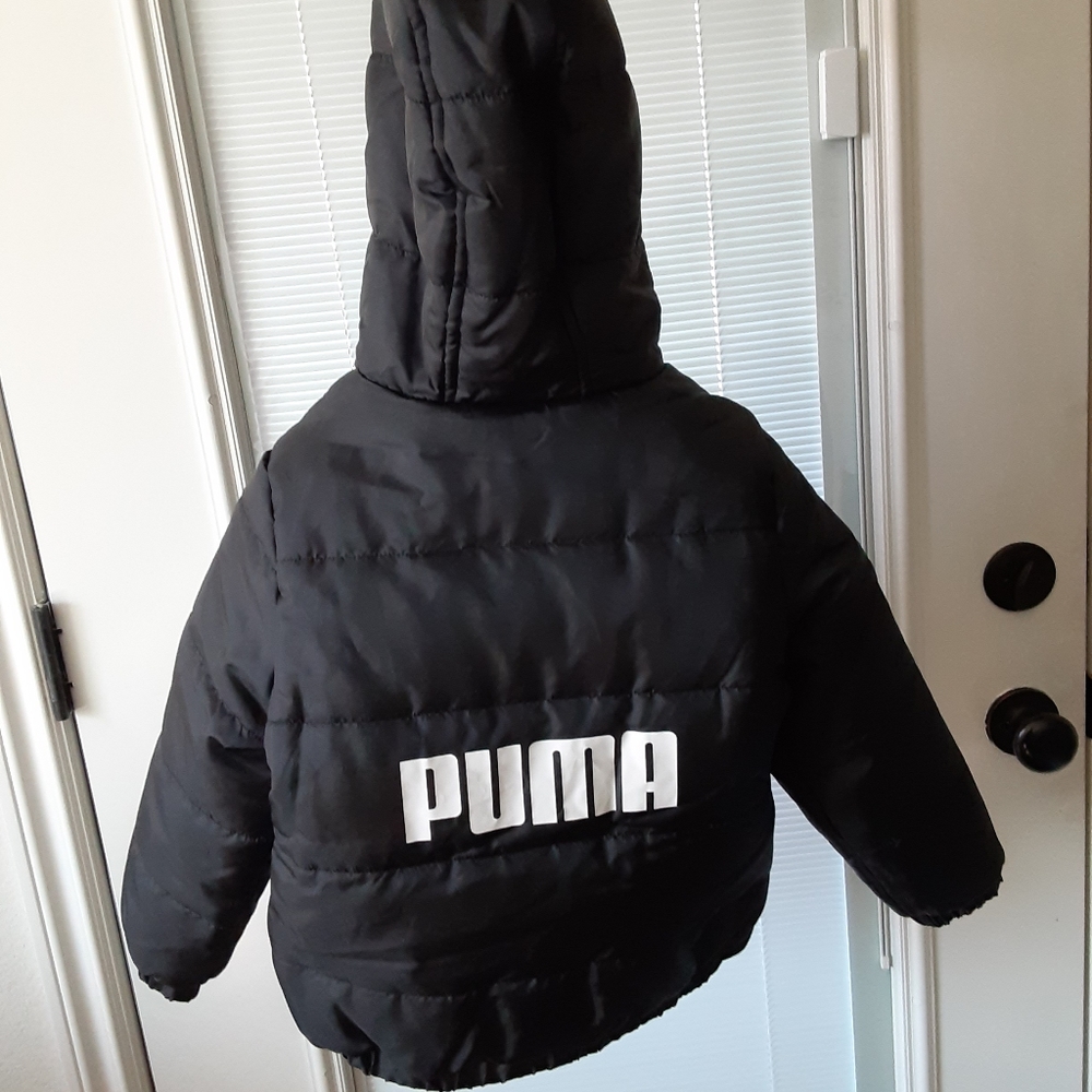 Puma - Picture 4 of 4